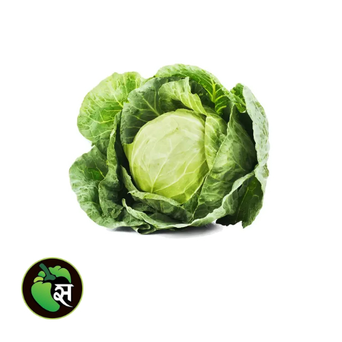 Organic Cabbage - जैविक पत्ता गोभी