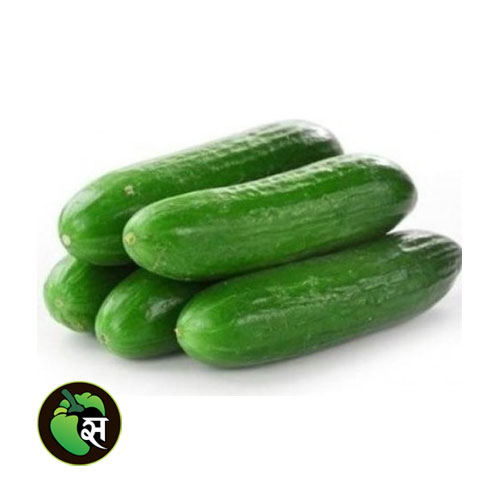 Cucumber English - खीरा अंग्रेजी