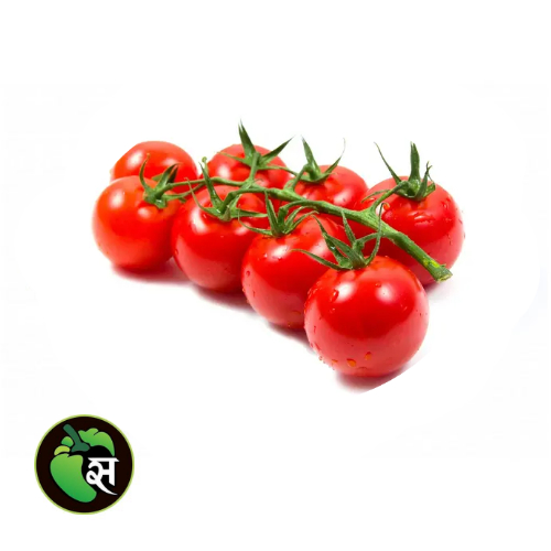 Organic Cherry Tomato - जैविक चेरी टमाटर