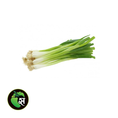 Organic Spring Onion - जैविक प्याज पत्ता