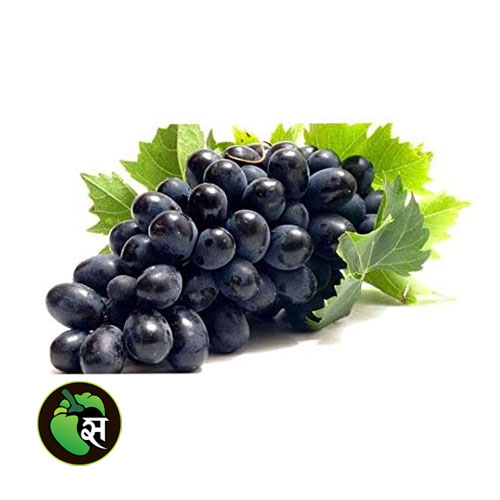 Black Grapes - काले अंगूर