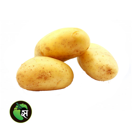 Potato New - आलू नया